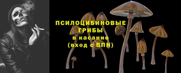 молекула духа Чекалин
