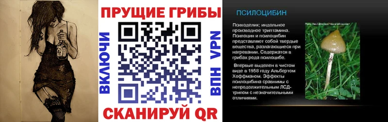 Галлюциногенные грибы прущие грибы Чита